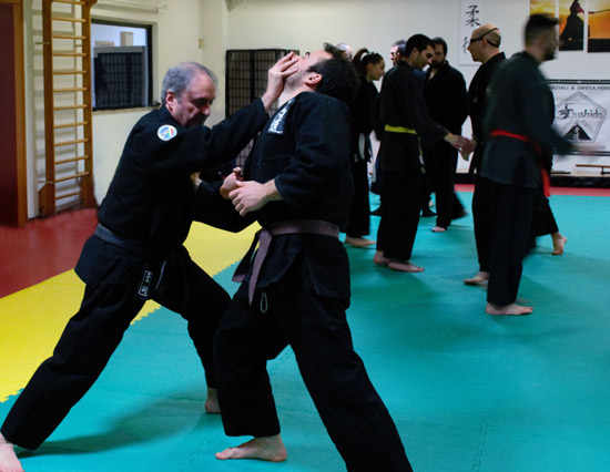 Insegnamenti Ju-Jitsu